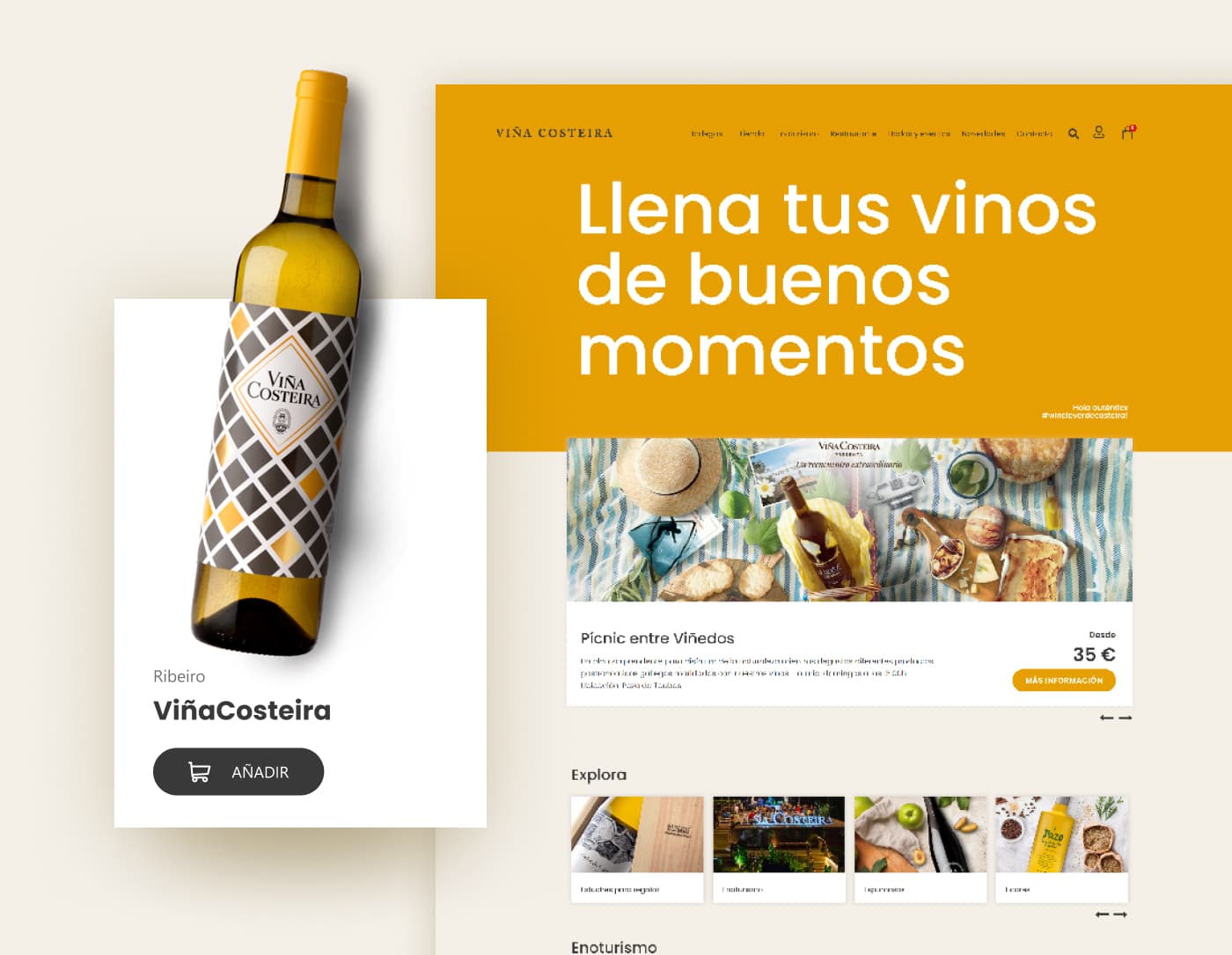 Cover image work Viña Costeira